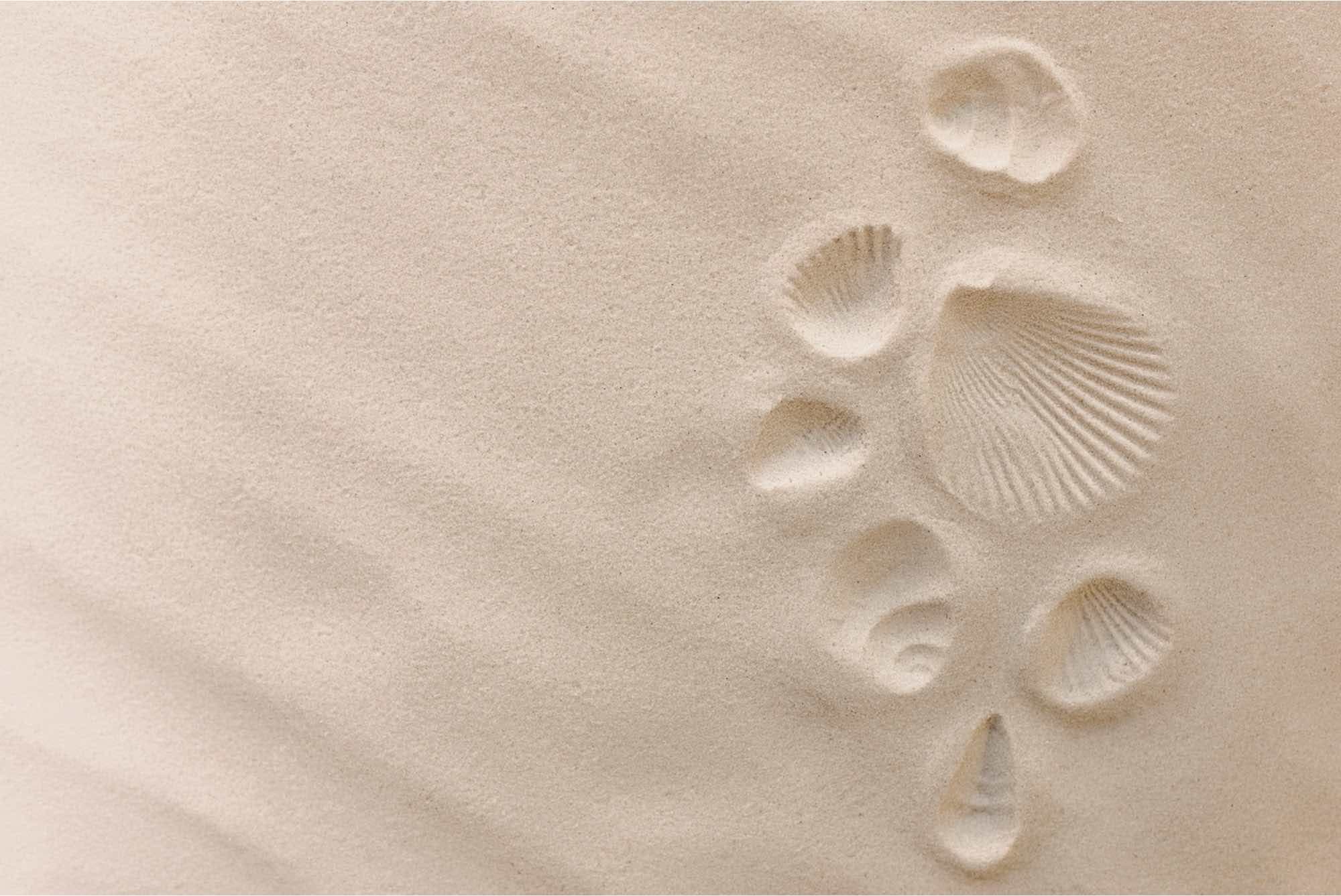 Your new Pilates studio in Mauritius